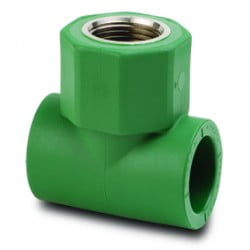 TE ROSCA CENTRAL FEMEA PPR